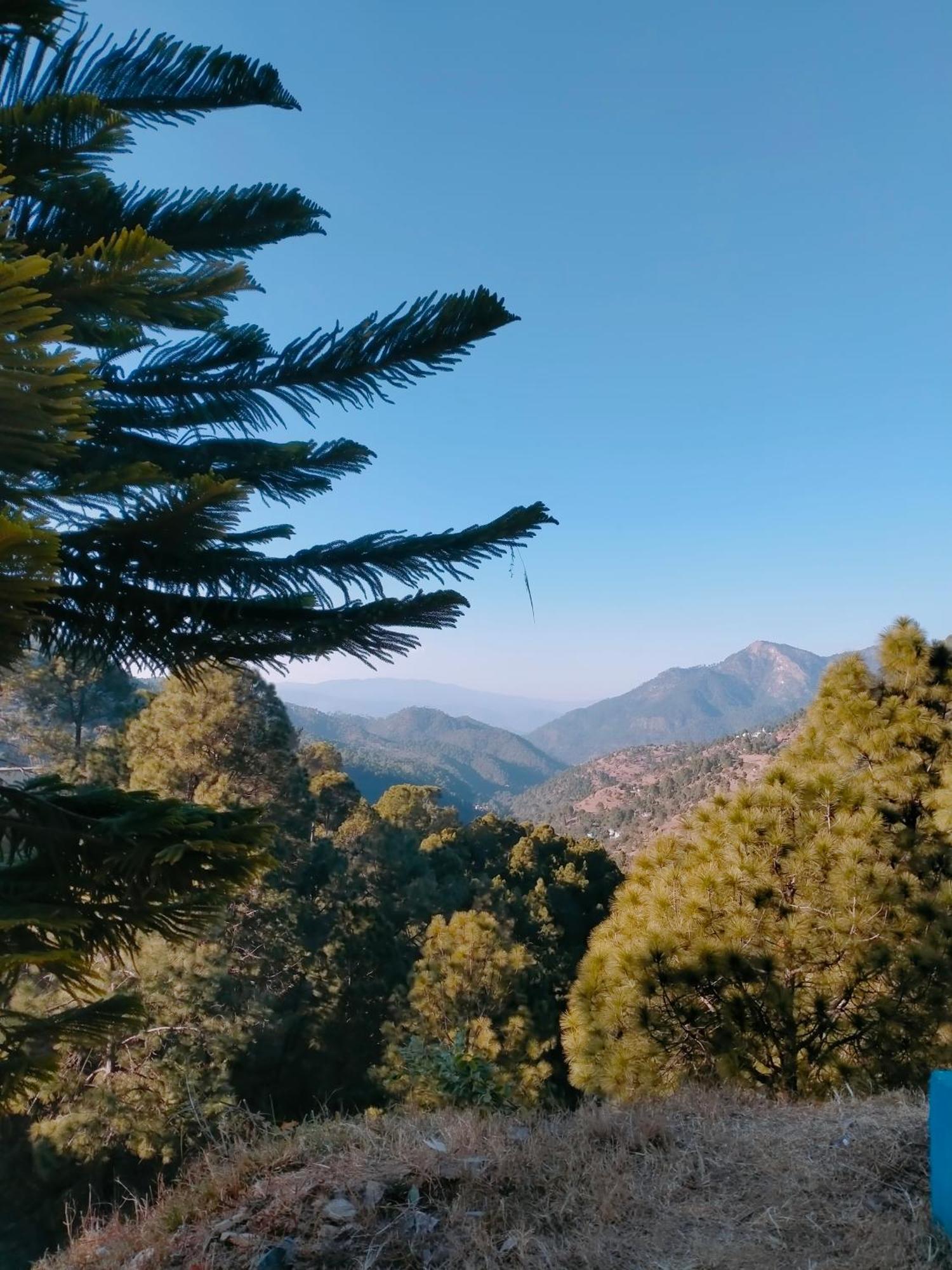Shree Home Stay Dwarahat エクステリア 写真